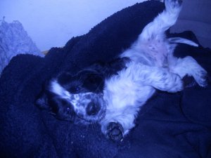 dscn5417.jpg