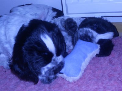 dscn3549.jpg