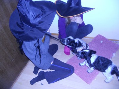 dscn4835.jpg