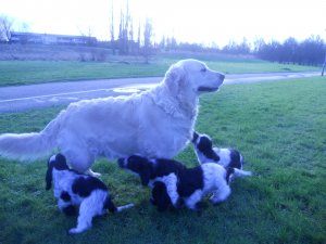 dscn5308.jpg