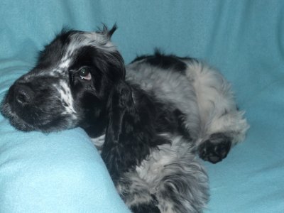 dscn7516.jpg