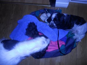 dscn5430.jpg