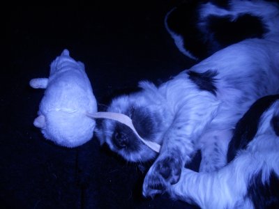 dscn2382.jpg