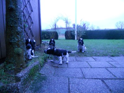 dscn4859.jpg