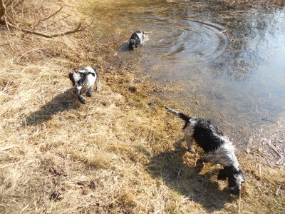 dscn8129.jpg