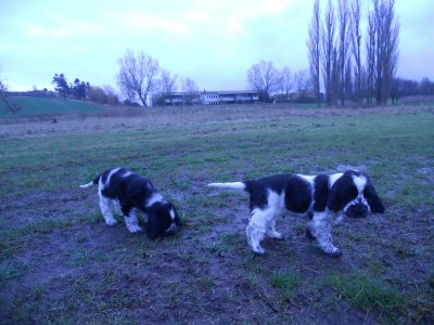 dscn5259.jpg