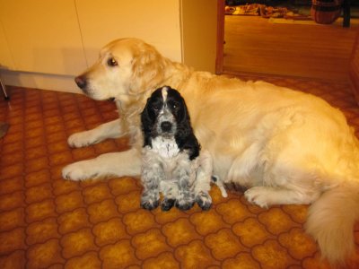img-1214.jpg