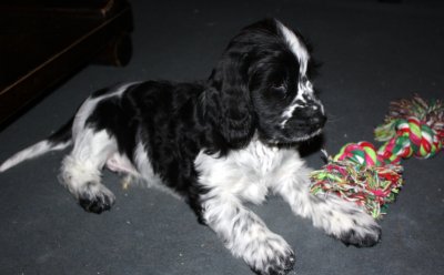 charlie-18-1-12-021.jpg