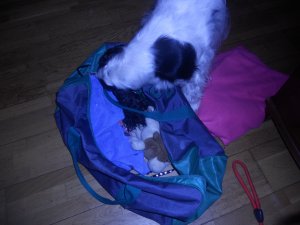 dscn5440.jpg