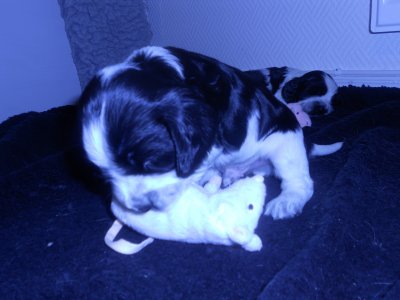 dscn2313.jpg