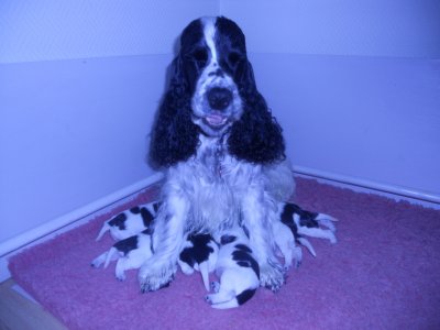 dscn1544.jpg