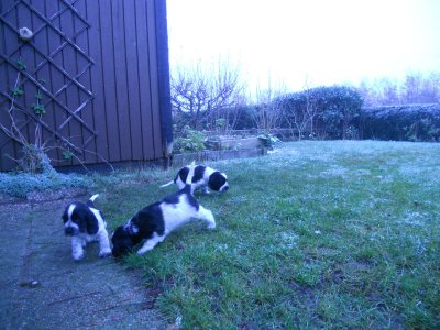 dscn3568.jpg