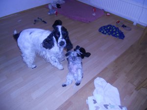 dscn5149.jpg