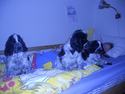dscn5927.jpg