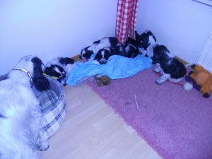 dscn4677.jpg