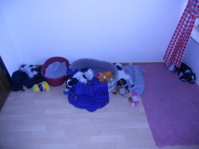 dscn5179.jpg