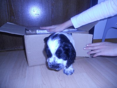 dscn3590.jpg