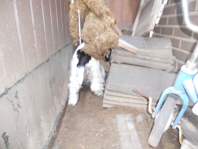 dscn1121.jpg