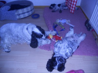 dscn5606.jpg