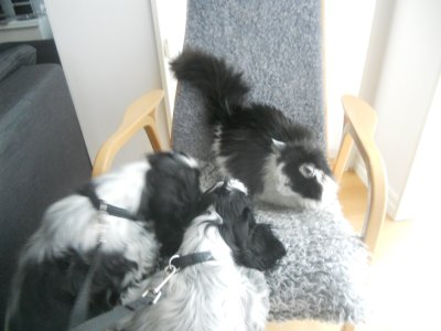 dscn7549.jpg