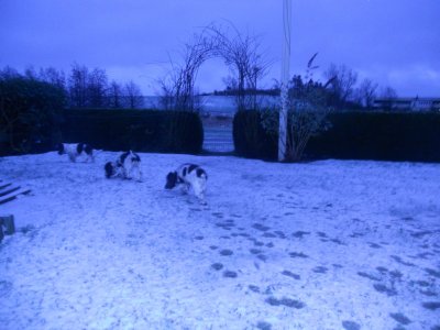dscn6196.jpg