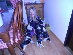 dscn4729.jpg