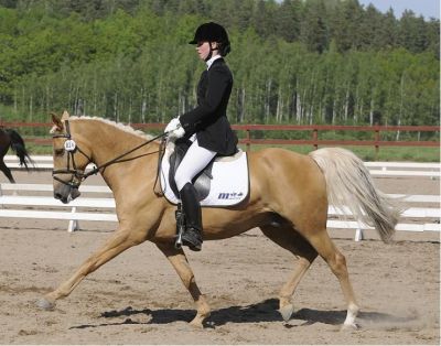 Alexzandra & Golden Dream 2007