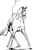 dressyr.jpg dressyr.jpg