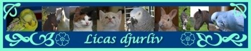 djurliv.jpg djurliv.jpg