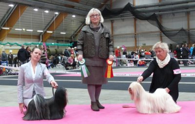 birobimsundsvall2011.jpg birobimsundsvall2011.jpg