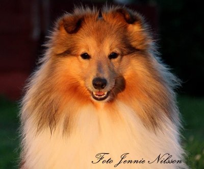 foto-jennie-nilsson-17.jpg foto-jennie-nilsson-17.jpg