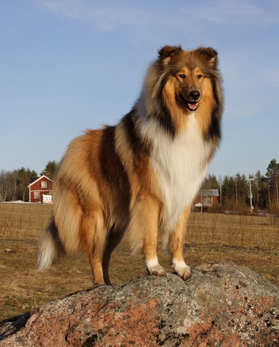 Qrius 11 månader Qrius 11 månader
