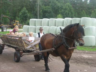 2011-oppen-gard-23-juli-010.jpg
