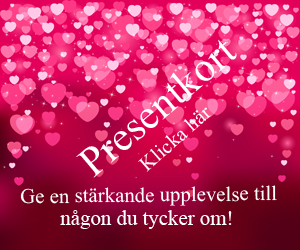 Presentkort | Spådam