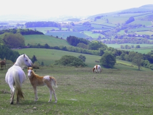Clun Valley