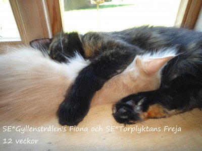 fiona-och-freja-sover.jpg