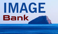 /image-bank.jpg