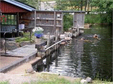 image003.gif