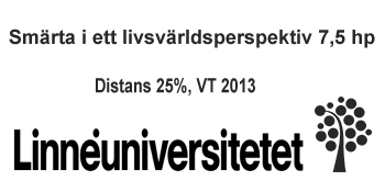 universitetsbanner-linneuniversitetet.jpg