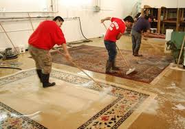 ثبت سفارش آنلاین دریافت خدمات قالیشویی و مبل شویی در تهران