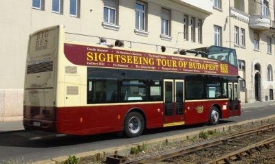 /buses.jpg