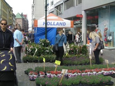 /malmo2.jpg