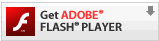 Get Adobe FLASH PLAYER