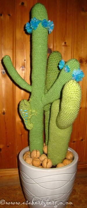 virkad-kaktus-6.jpg
