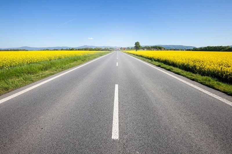 Vacker sommarväg i Sverige