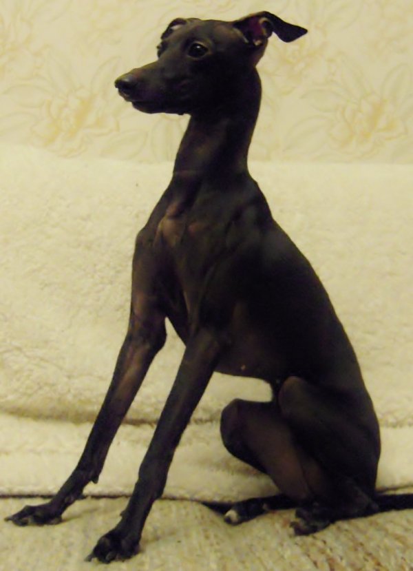 dscn3298.jpg