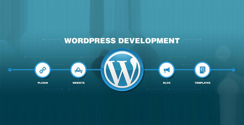 WordPress Developer