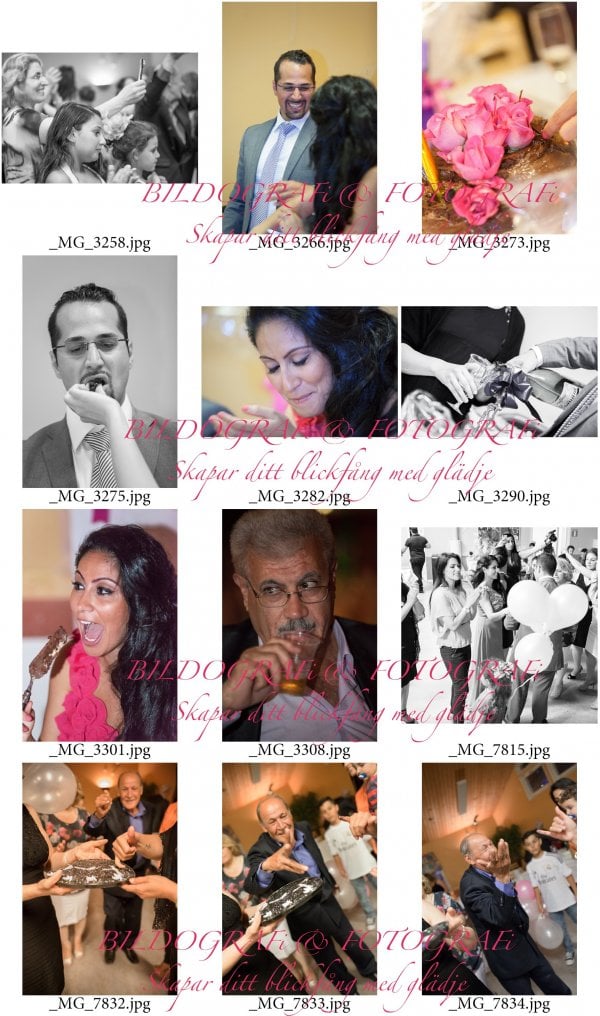 ylcontactsheet-019.jpg
