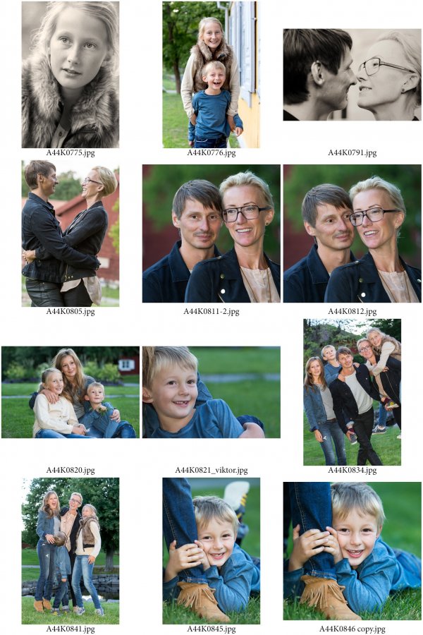 /familjen-hedlund-ark-2.jpg