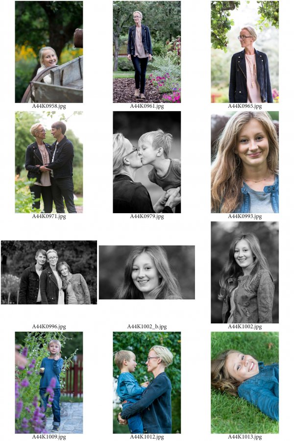 /familjen-hedlund-ark-5.jpg